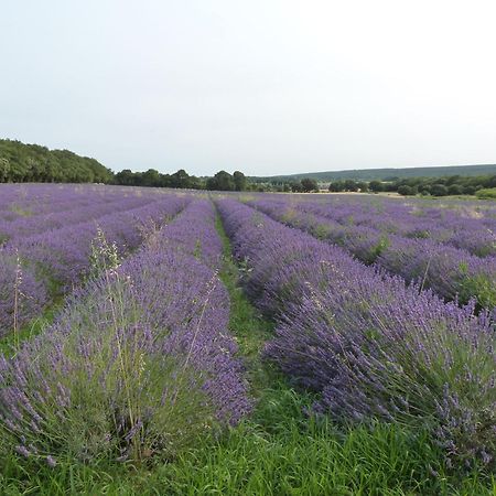 Prieure De Grignan Hotel ภายนอก รูปภาพ